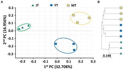 Features of bacterial and fungal communities in the rhizosphere of Gastrodia elata cultivated in greenhouse for early harvest